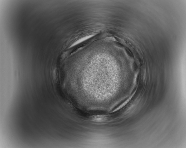 X0000096440088200802141501