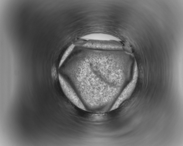 X0000096440089200802141501