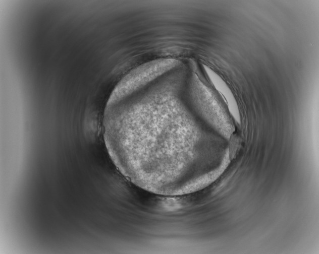 X0000096440091200802141501