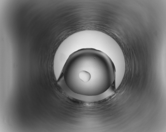 X0000096440092200802141501