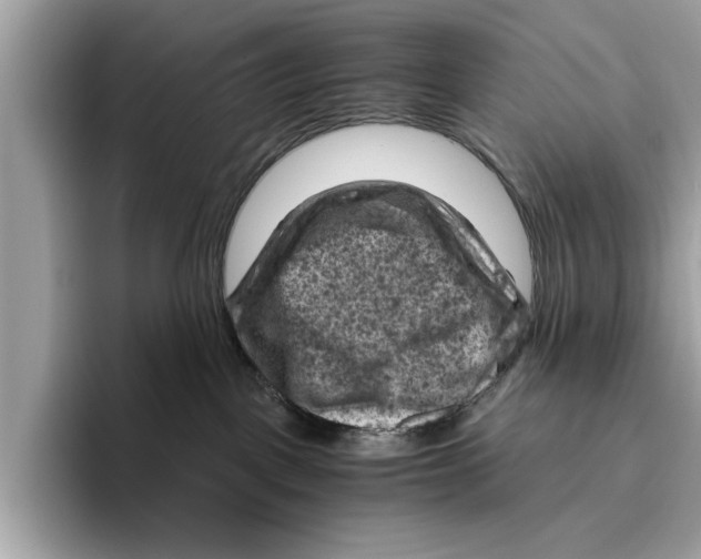 X0000096440093200802141501