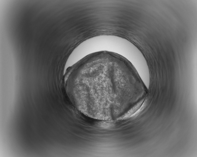 X0000096440094200802141501