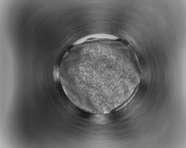 X0000096440095200802141501