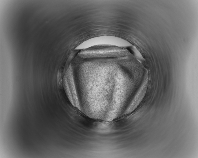 X0000096440096200802141501