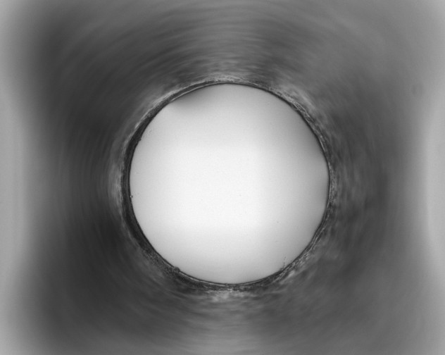 X0000096440098200802141500