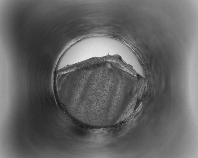 X0000096440100200802141500