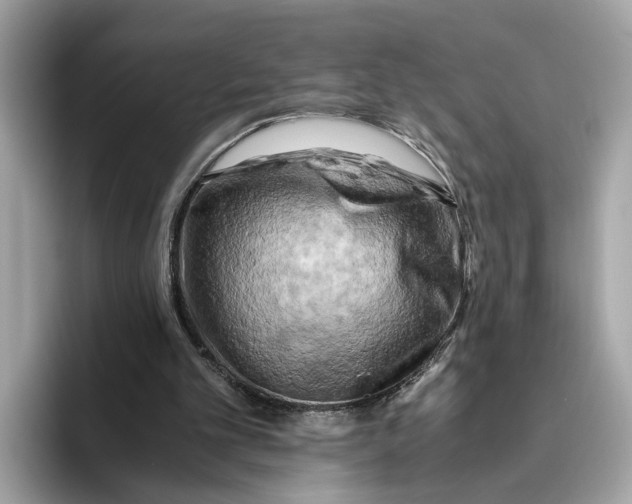 X0000096440101200802141500