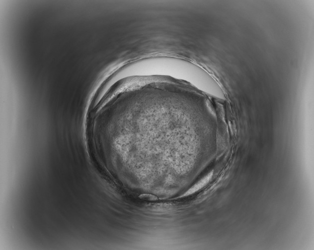 X0000096440104200802141500