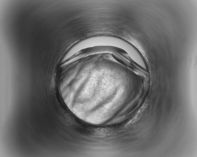 X0000096440105200802141500