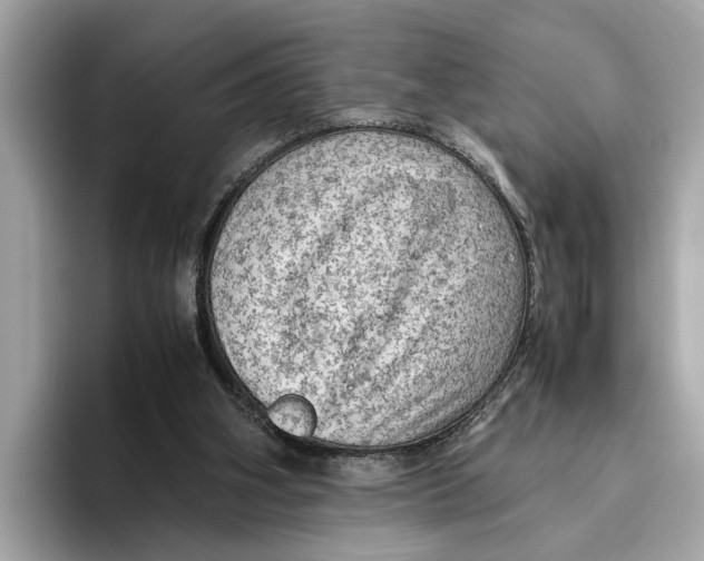 X0000096440106200802141500