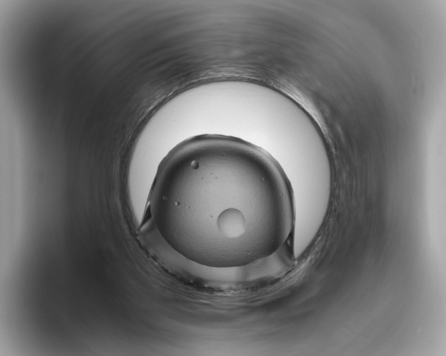 X0000096440109200802141500