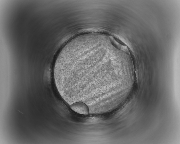 X0000096440111200802141500