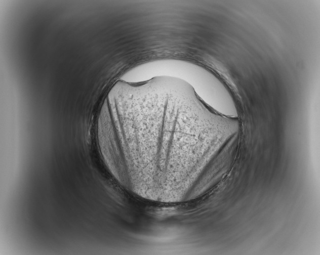 X0000096440114200802141500