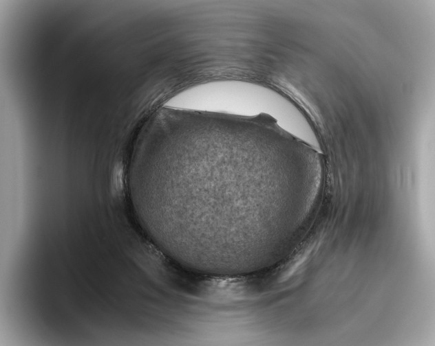 X0000096440117200802141500