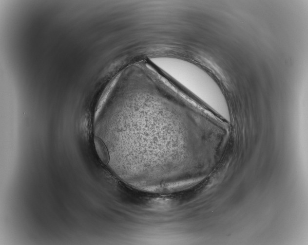 X0000096440119200802141500