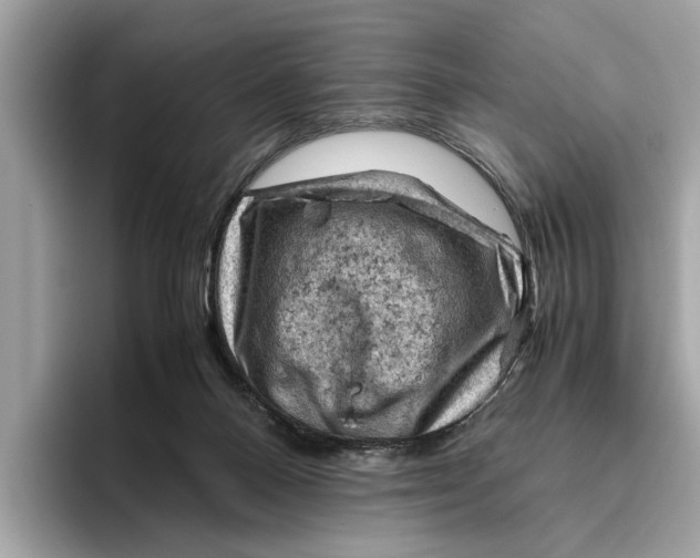 X0000096440120200802141500