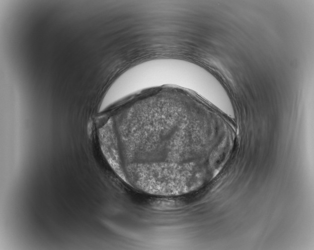 X0000096440123200802141500