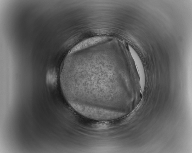 X0000096440124200802141500