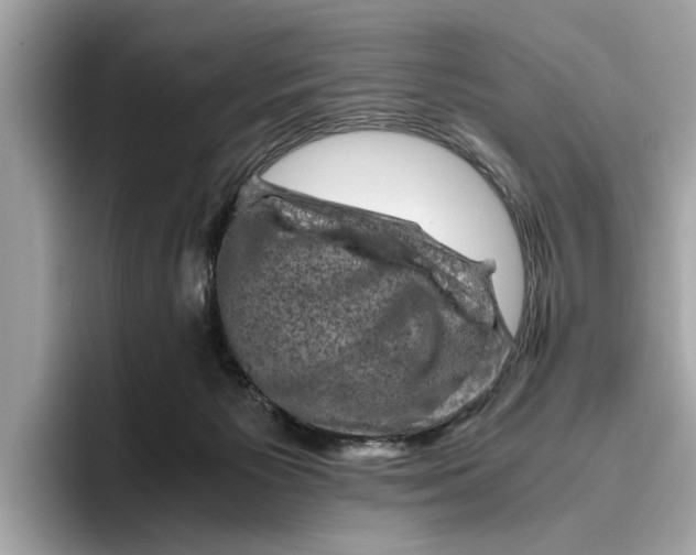 X0000096440125200802141500