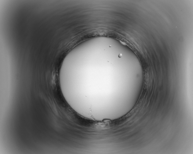 X0000096440126200802141500