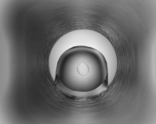 X0000096440129200802141500