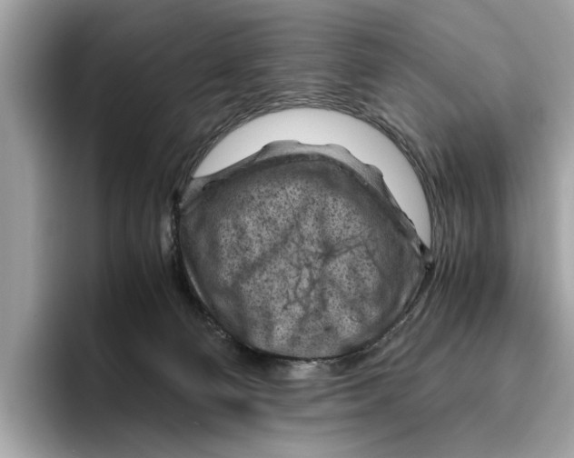 X0000096440130200802141500