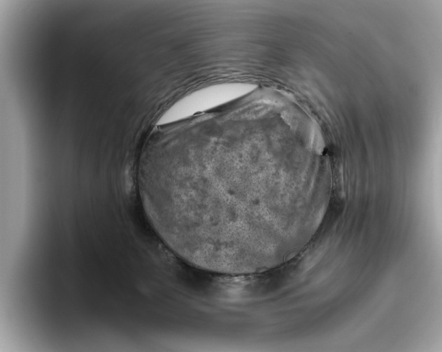 X0000096440131200802141500