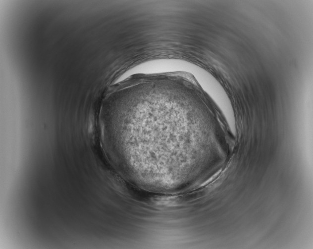 X0000096440132200802141500