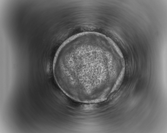 X0000096440134200802141500