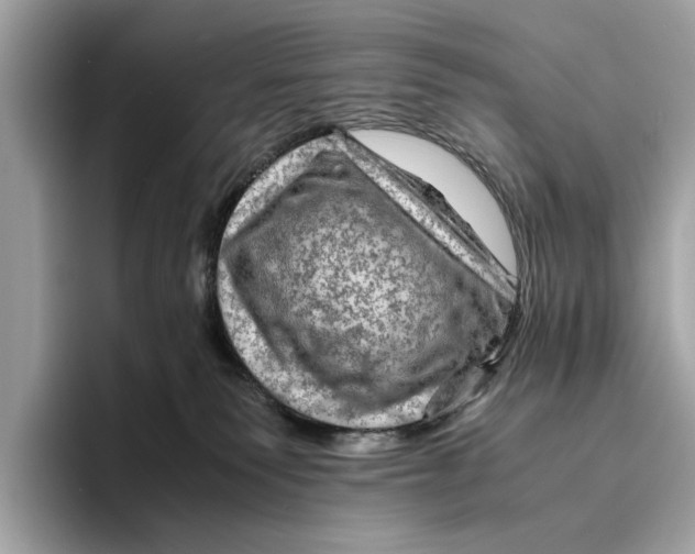 X0000096440135200802141500