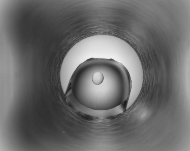 X0000096440137200802141500