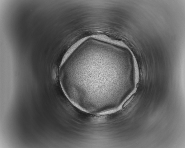 X0000096440138200802141500