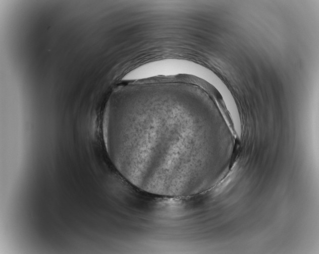 X0000096440140200802141459