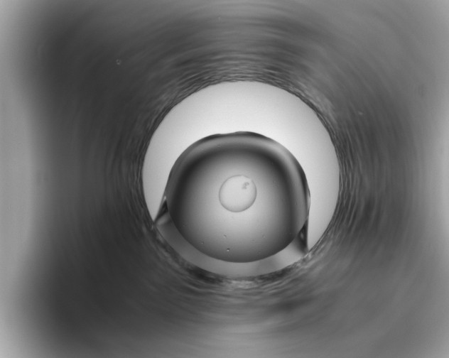 X0000096440141200802141459