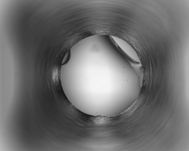 X0000096440142200802141459