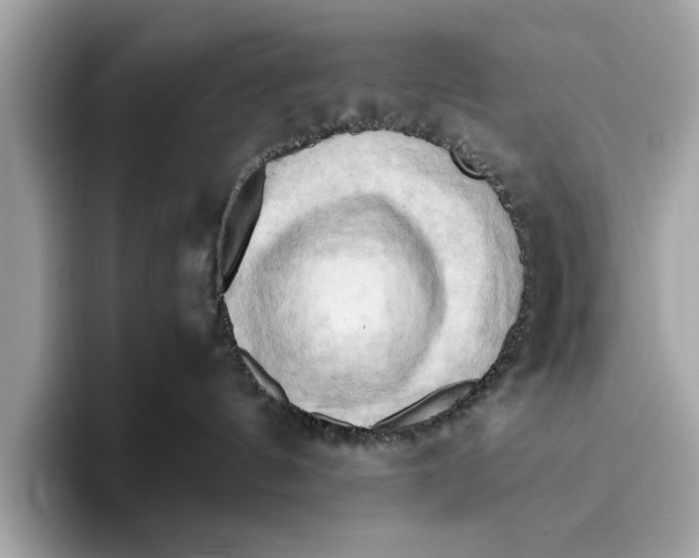 X0000096440144200802141459