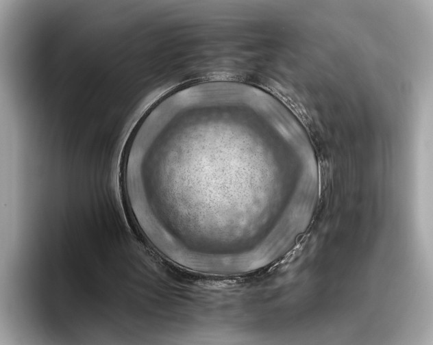 X0000096440147200802141459