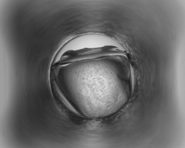 X0000096440148200802141459