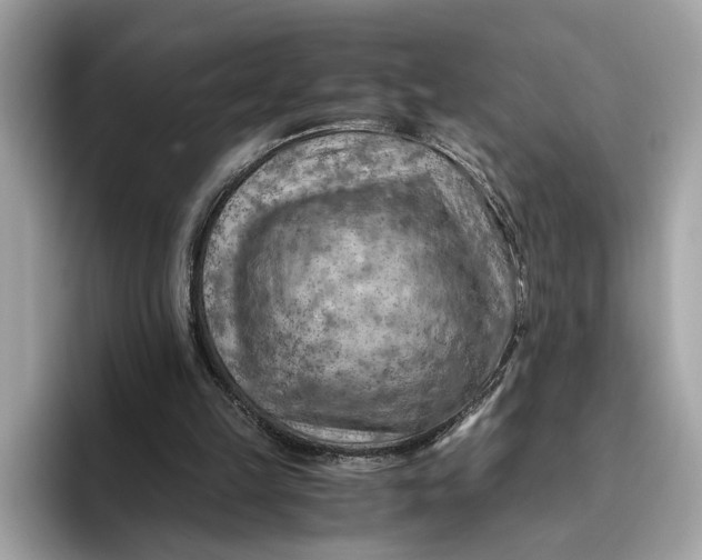 X0000096440149200802141459