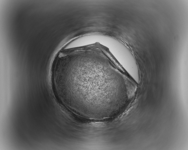 X0000096440150200802141459