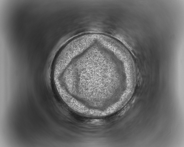 X0000096440151200802141459