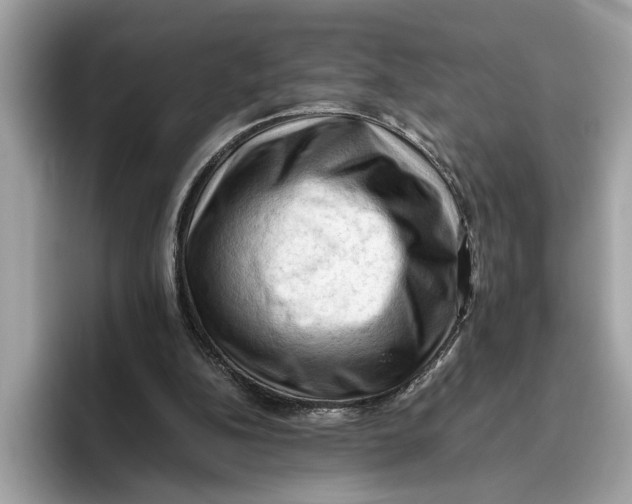 X0000096440152200802141459