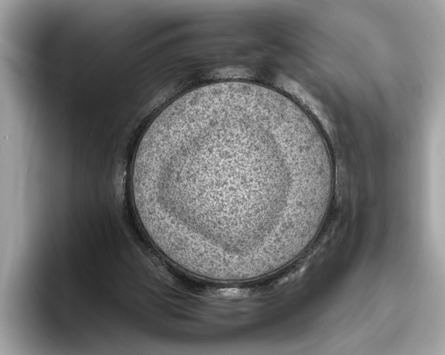 X0000096440153200802141459