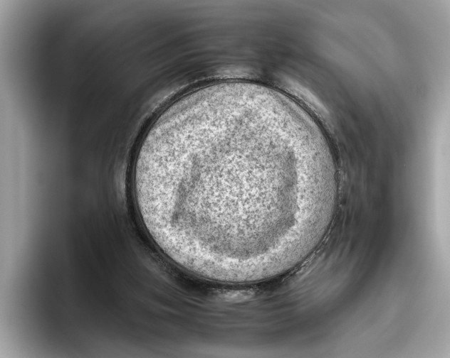 X0000096440155200802141459