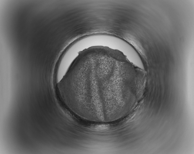 X0000096440156200802141459