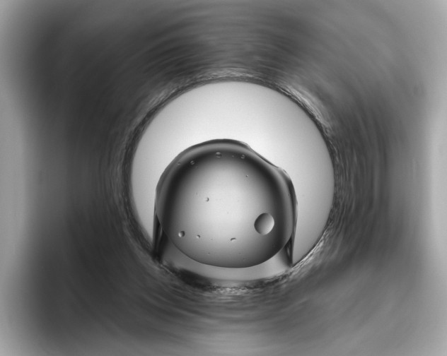 X0000096440158200802141459