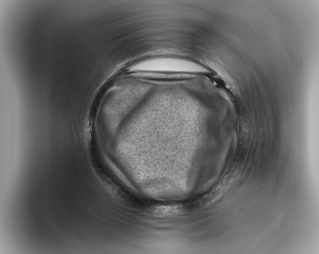 X0000096440160200802141459