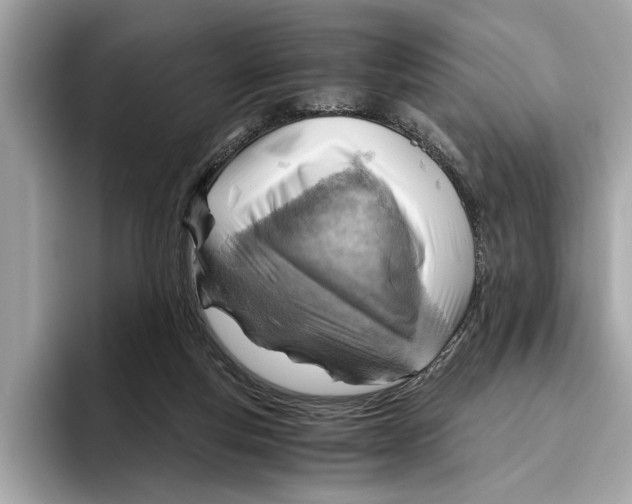 X0000096440163200802141459