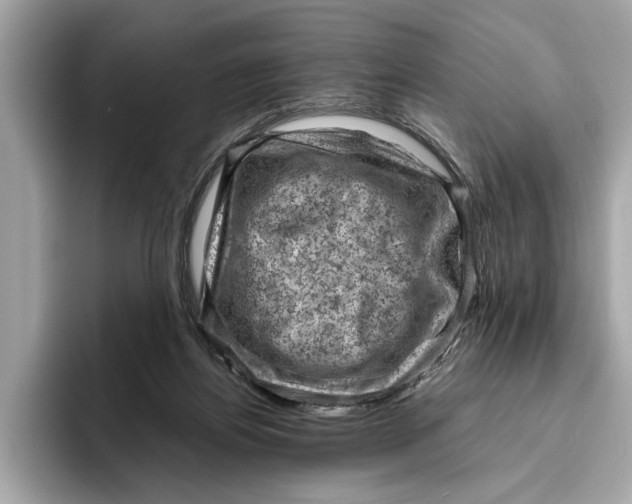 X0000096440164200802141459