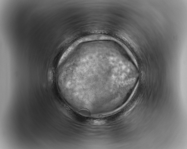 X0000096440165200802141459